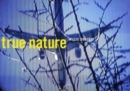 Image for Willie Doherty - True Nature