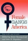 Image for Female gangs in America  : essays on girls, gangs and gender