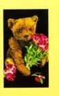Image for Teddy Bear Collector&#39;s Journal