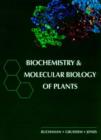 Image for Biochemistry and molecular biology of plants