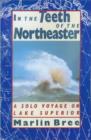 Image for In the Teeth of the Northeaster : A Solo Voyage on Lake Superior