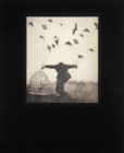 Image for Robert and Shana ParkeHarrison: The Architect&#39;s Brother