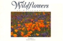 Image for Wildflowers of California