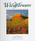 Image for Wildflowers of the Plateau and Canyon Country