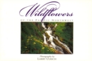 Image for Wildflowers of the Pacific Northwest : Twenty Postcards