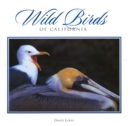 Image for Wild Birds of California