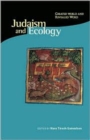 Image for Judaism and Ecology