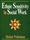 Image for Ethnic Sensitivity in Social Work