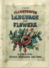 Image for The Illustrated Language of Flowers