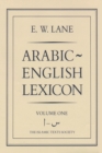 Image for Arabic-English Lexicon