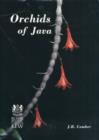 Image for Orchids of Java