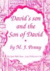 Image for David&#39;s Son and the Son of David