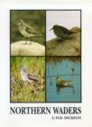 Image for Northern Waders