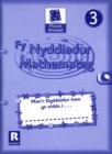Image for Numeracy Focus 3: Fy Nyddiadur Mathemateg