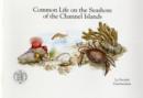 Image for Common Life on the Seashore of the Channel Islands