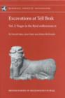 Image for Excavations at Tell BrakVol. 2: Nagar in the third millennium BC