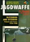 Image for Jagdwaffe  : Luftwaffe coloursVol. 1 Section 3: Blitzkrieg and Sitzkrieg