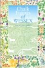 Image for Chalk Figures of Wessex