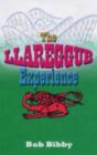 Image for The Llareggu B Experience
