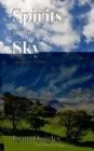 Image for Spirits In The Sky