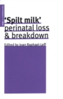 Image for Spilt Milk : Perinatal Loss and Breakdown