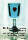Image for The conscious feminineVol. 1: How to heal and support the feeling function : v. 1 : How to Heal and Support the Feeling Function