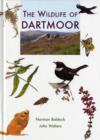 Image for The Wildlife of Dartmoor