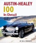 Image for Austin Healey 100 In Detail