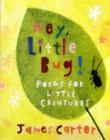 Image for Hey, little bug!  : poems for little creatures
