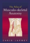 Image for The atlas of musculo-skeletal anatomy