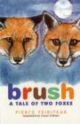 Image for Brush : A Tale of Two Foxes