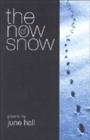 Image for The Now of Snow