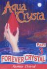Image for Forever Crystal