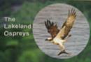 Image for The Lakeland ospreys