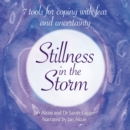 Image for Stillness in the Storm