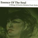 Image for Essence of the Soul