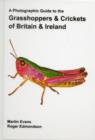 Image for A Photographic Guide to the Grasshoppers and Crickets of Britain and Ireland