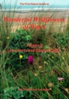 Image for Wonderful Wildflowers of Wales