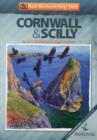 Image for Best Birdwatching Sites in Cornwall and Scilly
