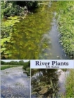Image for River Plants : The Macrophytic Vegetation of Watercourses