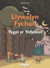 Image for Llywelyn Fychan: Ysgol yr Ynfydion