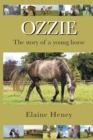 Image for Ozzie : The Story of a Young Horse