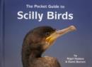 Image for The Pocket Guide to Scilly Birds