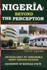 Image for Nigeria Beyond The Perception