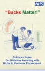 Image for Backs Matter : Guidance Notes for Midwives Assisting with Births in the Home Environment