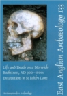 Image for Life and death on a Norwich backstreet, AD 900-1600  : excavations in St. Faith&#39;s Lane