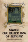 Image for Shock! The Black Dog of Bungay : A Case Study in Local Folklore