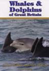 Image for Whales &amp; dolphins of Great Britain  : where to go and what to see