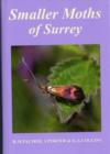 Image for Smaller Moths of Surrey