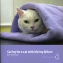 Image for Caring for a Cat with Kidney Failure